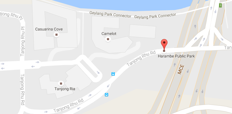 Aircon Servicing in Tanjong Rhu